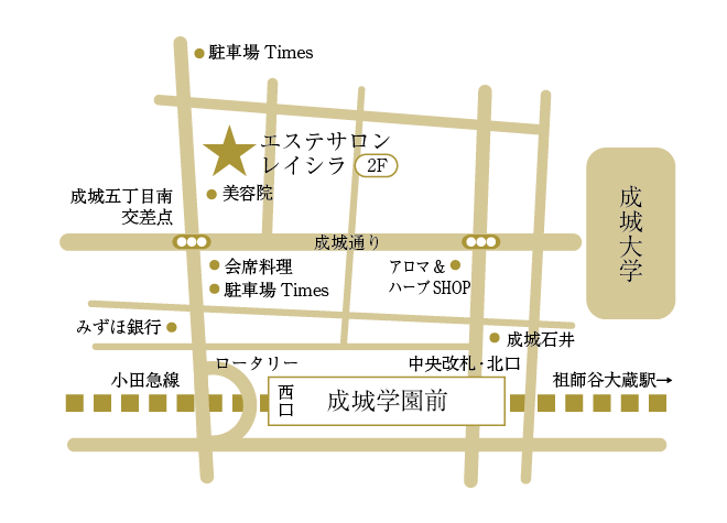 成城のアンチエイジングエステサロンレイシラ　地図
